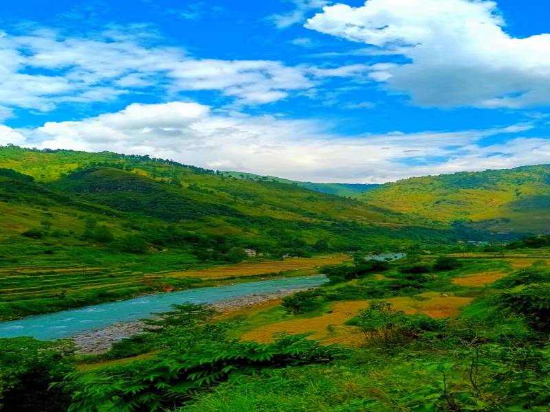 4 Days Nainital Ranikhet Tour