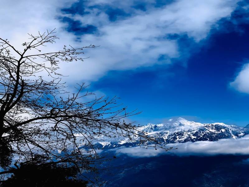 7 Days Munsyari Trip