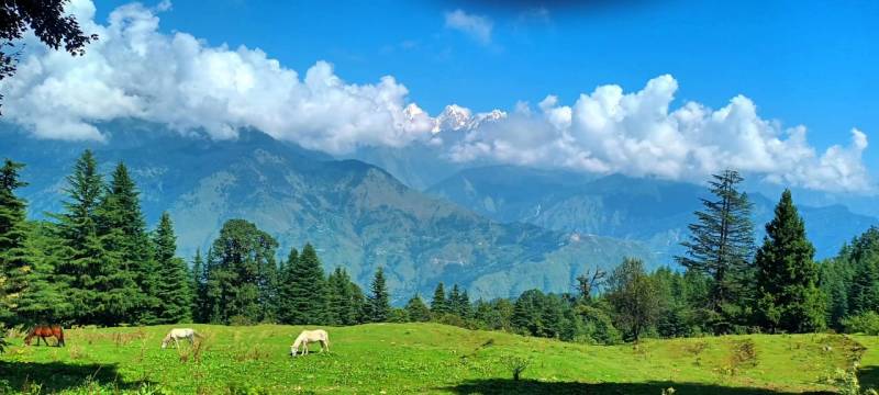 Munsyari Lohaghat Trip