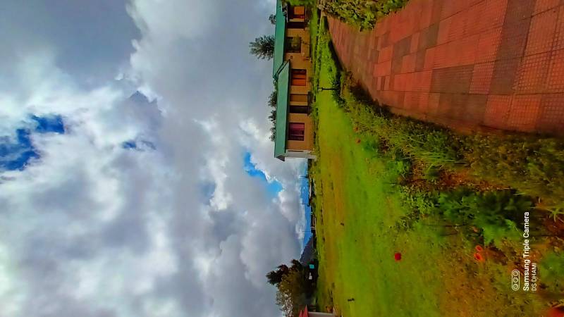 Munsyari Lohaghat Trip