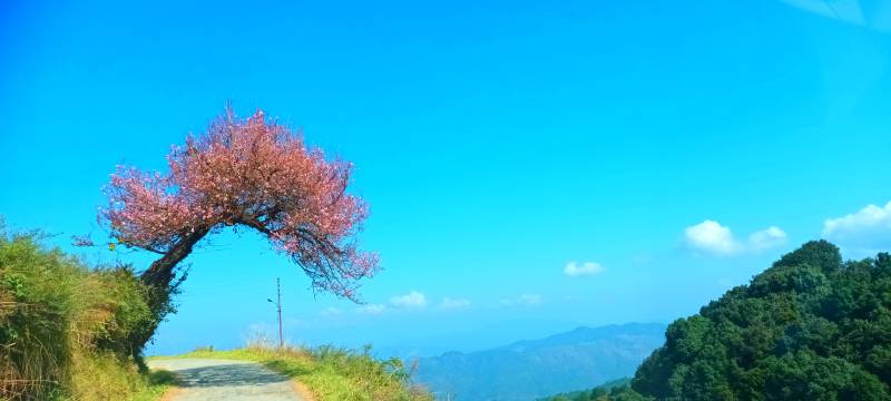 3 Days Nainital Kainchi Dham Mukteshwar Tour