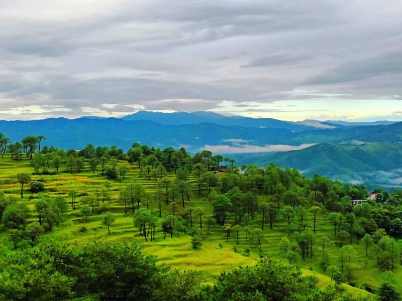 7 Days Munsyari Trip