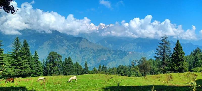 7 Days Munsyari Trip