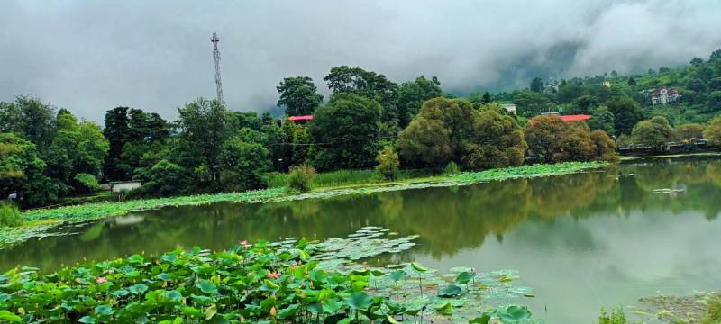 Kainchi Dham Nainital Tour