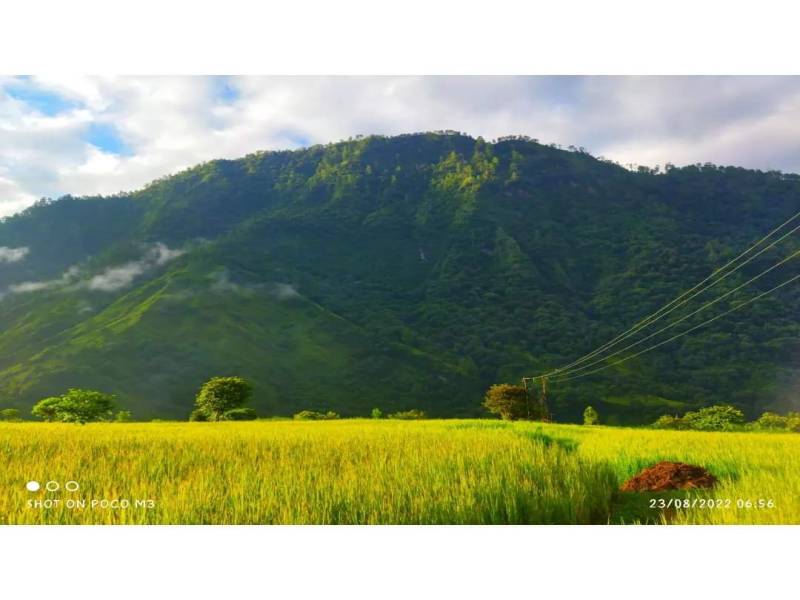 11 Nights / 12 Days Kumaon Tour