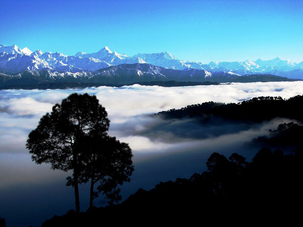 8 Days Kumaon Tour  Stay Nainital Kausani Chaukori Munsyari Binsar
