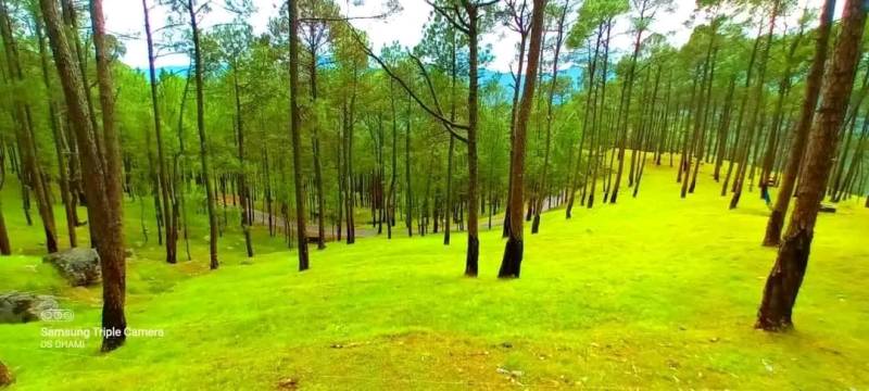 8 Days Kumaon Tour Stay Nainital Kausani Munsyari Chaukori Binsar Mukteshwar