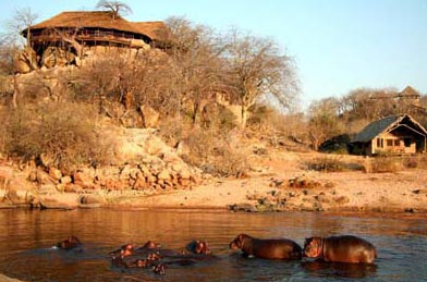 5-Day Ruaha National Park - Mikumi National Park Tour