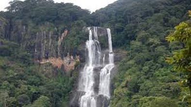 Selous/Mikumi/Udzungwa 5Days/4Nights Tour