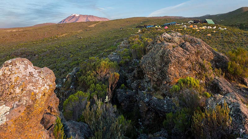 8 Days Machame Route Tour