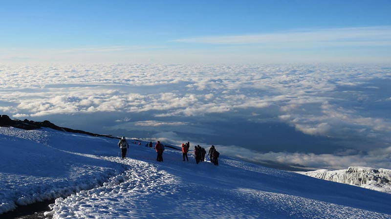 8 Days Machame Route Tour