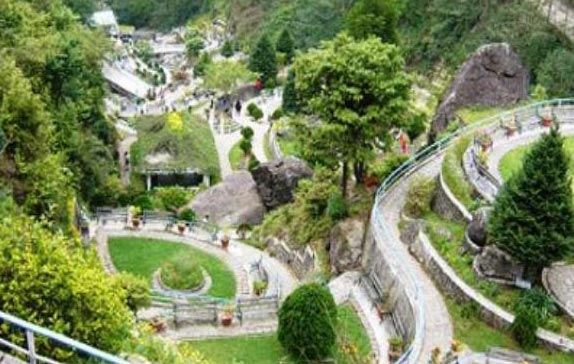 Beautiful Darjeeling Tour Image