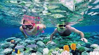 Discover Andaman With Neil Island Tour