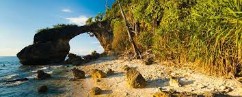 Andaman cruise tour