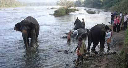 Elephant Trail Package