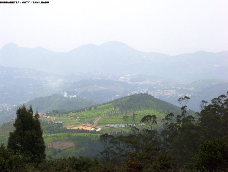 Hills of South India Tour