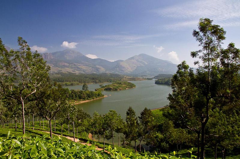 A Long Break To Munnar Tour