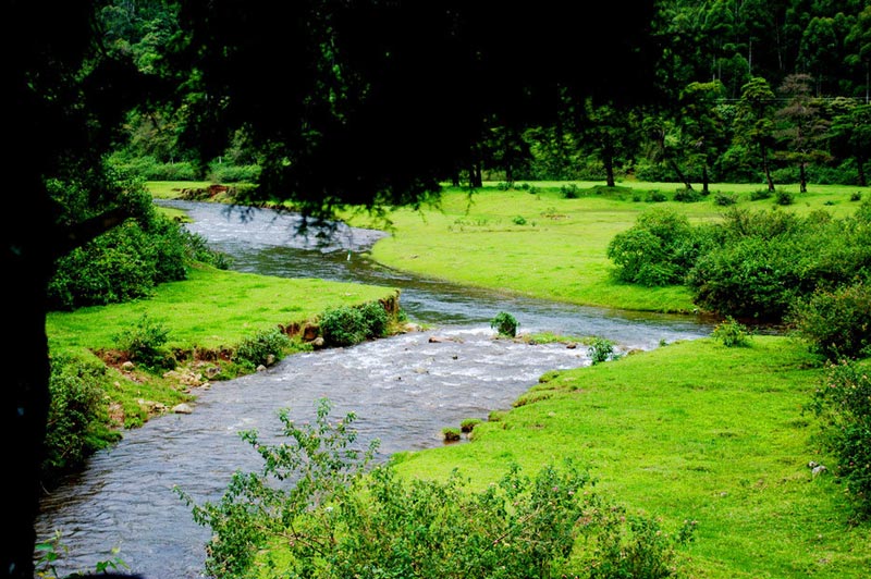 Flavor of Kerala Tour