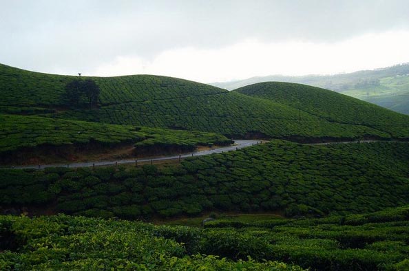 Enchanting Kerala Package