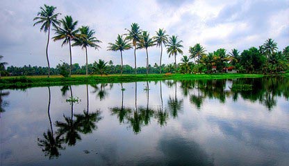 Fascinating Backwaters Tour