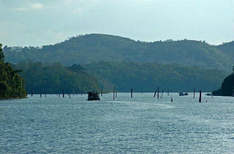 Taste of Kerala Package