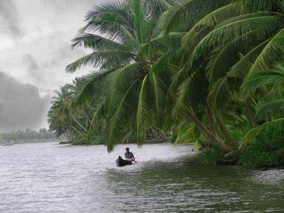 Taste of Kerala Package