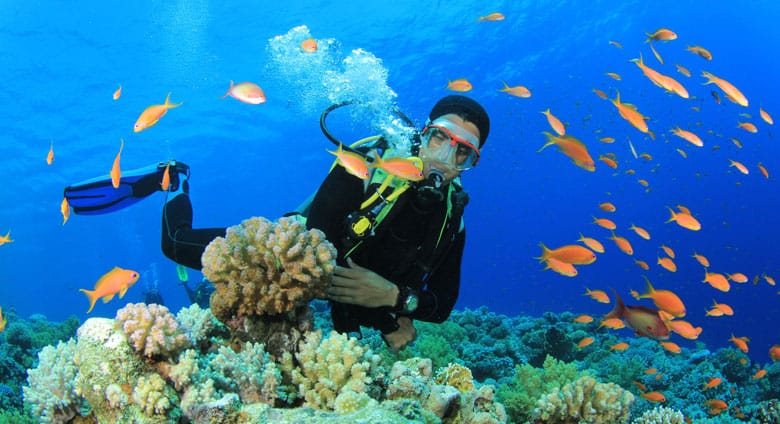 6 NIghts & 7 Days Andaman Exotic Honeymoon Tour Package