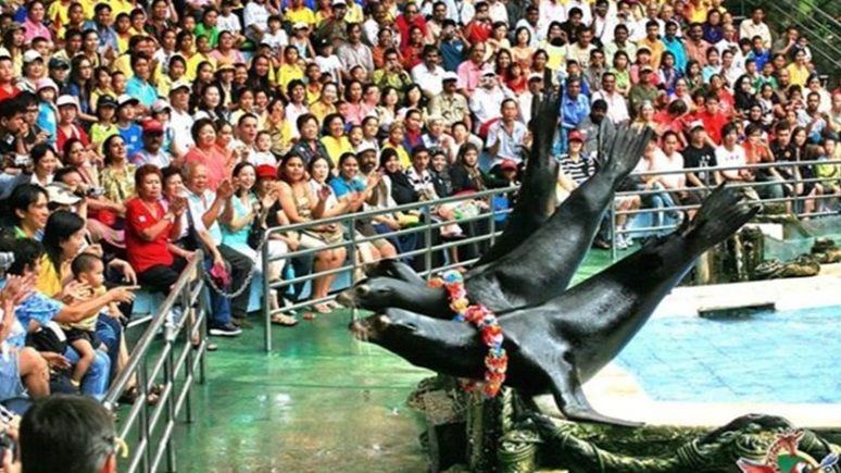 Best of Exotic and Luxury Thailand Group Package