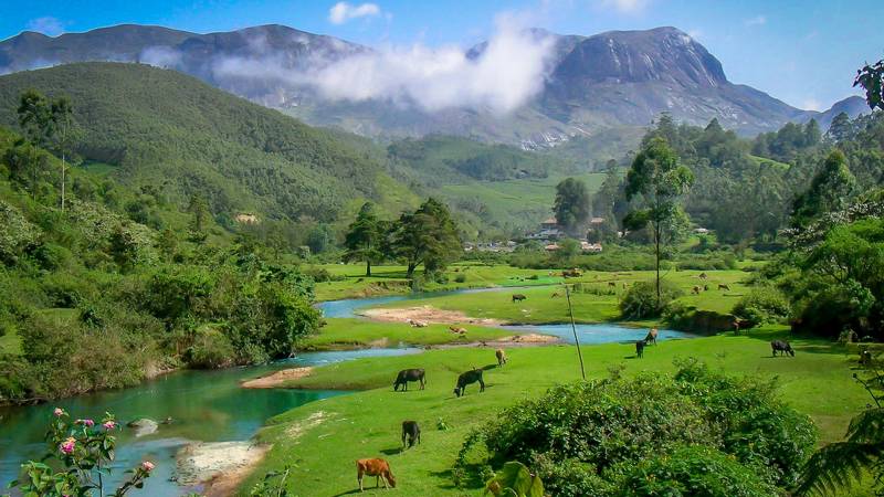 6 Nights & 7 Days Exotic and Stunning Kerala Tour Package