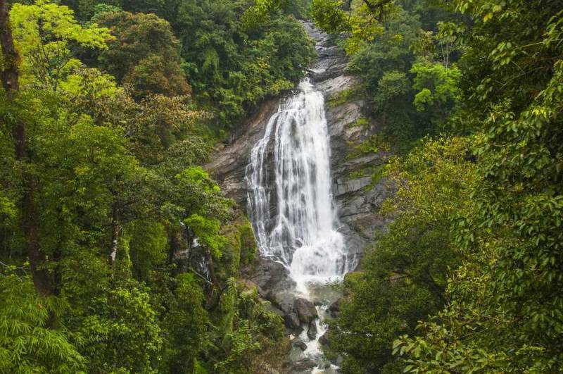 7 Nights & 8 Days Stunning Kerala Tour Package