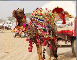 2 Days Heritage Jaisalmer Tour Package