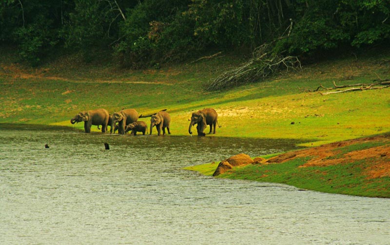 8 Nights 9 Days Kerala Tour Packages