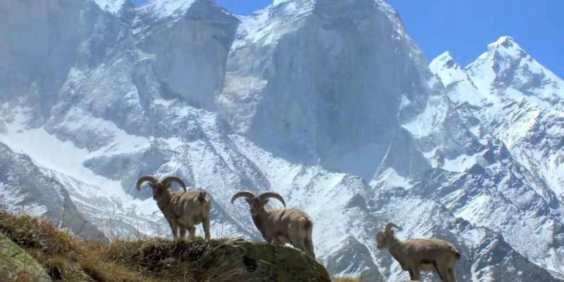 06 Days Cycle Tour in Dhauladhar Range