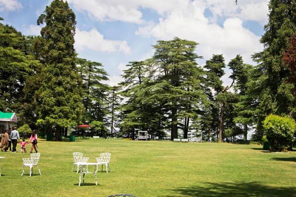 Chail Weekend Package