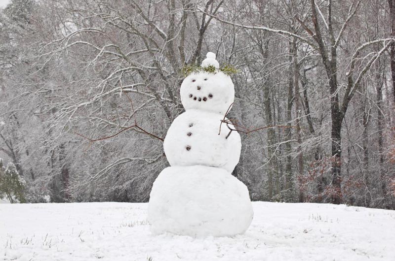 Igloo Snowtrek 2D/1N Tour