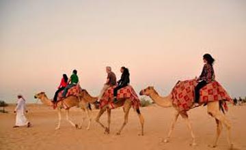 Magical Dubai Tour