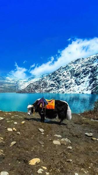 Gangtok – Pelling – Darjeeling Tour Image