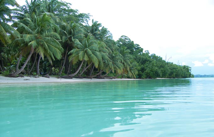 Andaman Island Honeymoon Tour Image