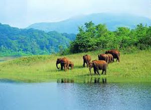 Short Escape To Periyar Tour