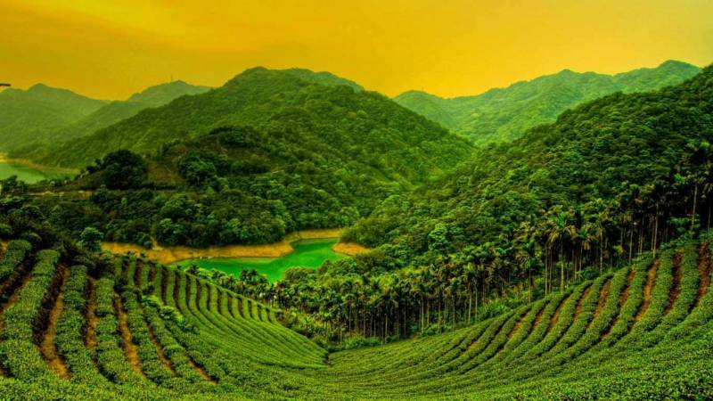 6 Days 5 Nights Cochin to Munnar - Chennai Package