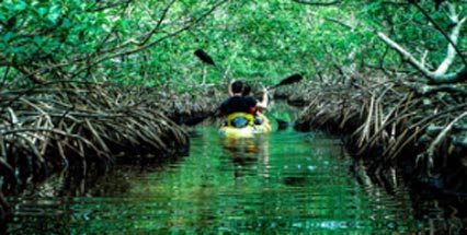 Exotic Andaman Package