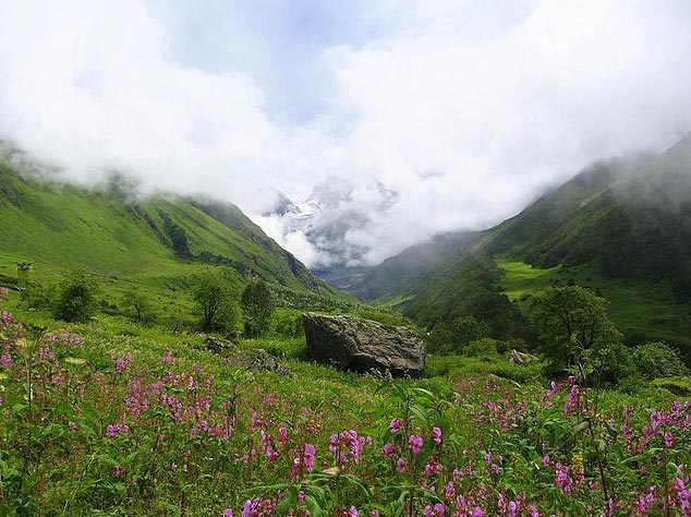 Valley Of Flowers Trekking Tours Package