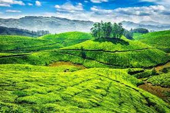 Magical Athirapally With Munnar Tour