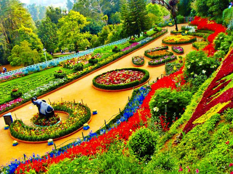 Coorg And Ooty Tour Package