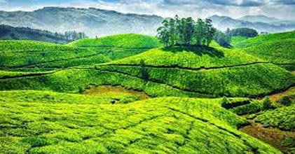 Cochin, Munnar And Alleppey 3 Star Package For 5 Days
