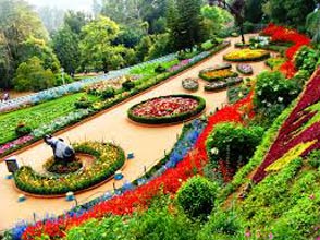 Short Escape To Ooty Package
