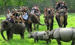 7D 6N GUWAHATI- KAZIRANGA- SHILLONG PACKAGE