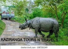 7D 6N GUWAHATI- KAZIRANGA- SHILLONG PACKAGE
