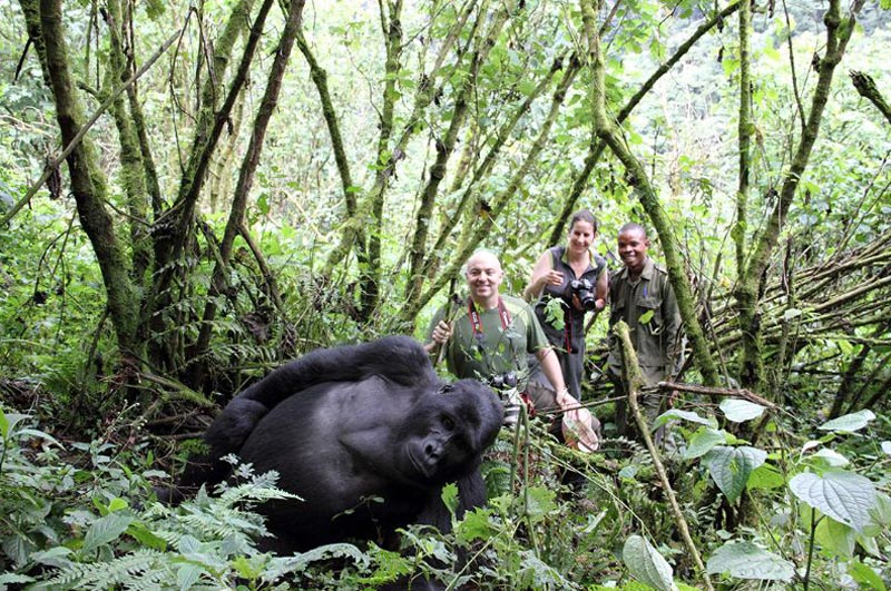 4 days Gorilla Tracking Uganda