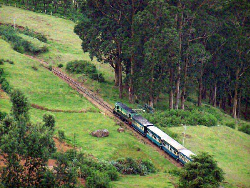 Ooty - Coonoor- Kodai Tour 6 Day